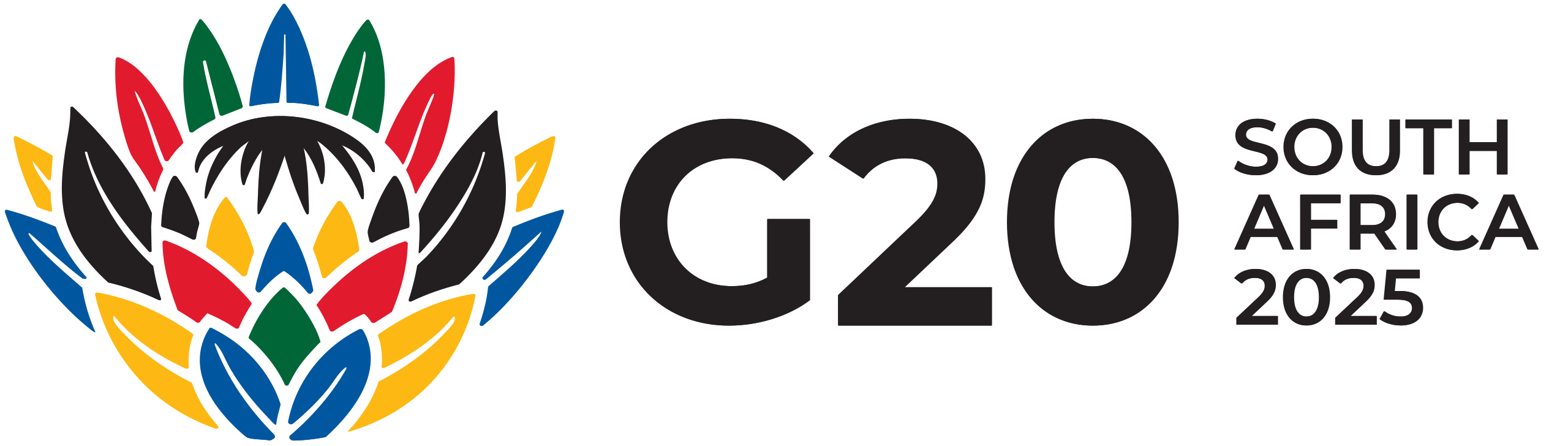 G20 South Africa Logo